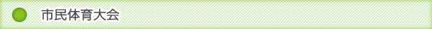 ̈狦̊Tv@|ƌvEƕ񍐁|